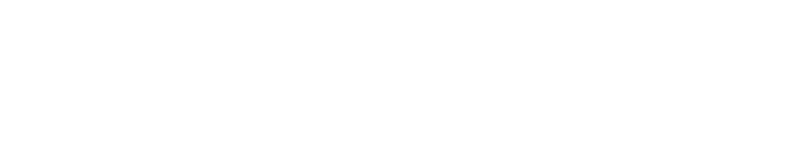 fds white logo