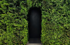 Entrance FDS-min